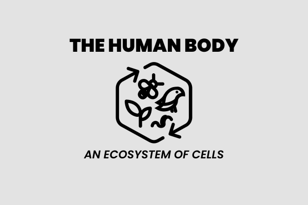 The human body: an ecosystem of cells